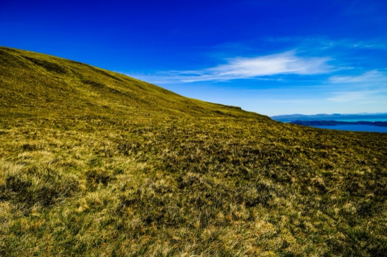 Windswept grass on a hillside above the sea, Isle of Skye