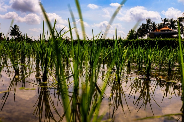 Travel photograph by Jim Kleban